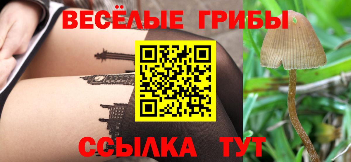 Псилоцибиновые грибы Psilocybine cubensis  Псилоцибиновые грибы ЛСД  Кашира  Вход с VPN 